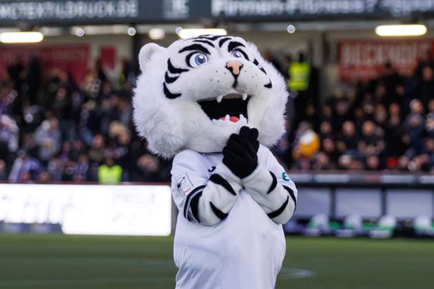 30 11 2025, xkwix, Football, 3 Liga, SSC Verl VfL Osnabrück, Sportclub Arena Manni the new SC Verl mascot with praying hands Photo xKamilxWilkowskixPressefotoKochx NRW Germany