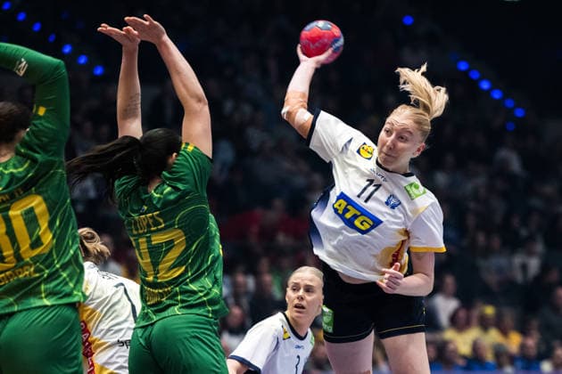 Handball, Womens World Championship, Sweden - Brazil