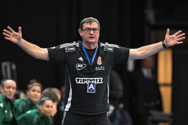 Netherlands, Handball, Womens World Championship 2025, Hungary vs Switzerland, 01 12 2025, Maaspoort Sports Events, s Hertogenbosch, Netherlands, Vlagyimir Golovin Hungary, coach complains about a referee decision Copyright: xMarkusxVerwimpx