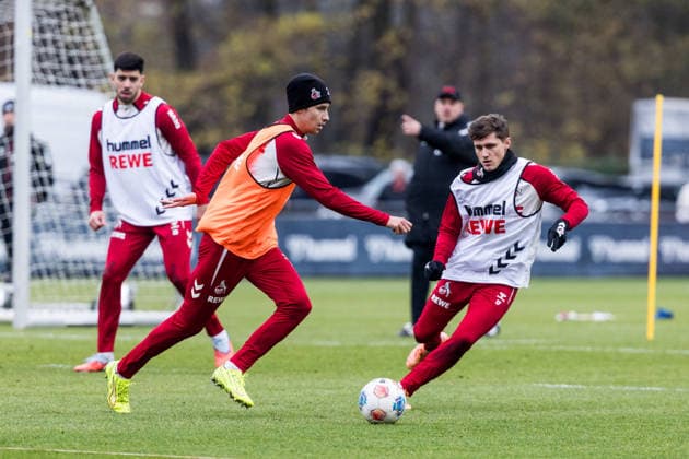 Football, 1st BL, 1. FC Köln, Training