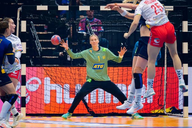 Handball, Womens World Championship, Main Round Norway Sweden Johanna Bundsen Sweden Dortmund Westfalenhalle North Rhine-Westphalia Germany