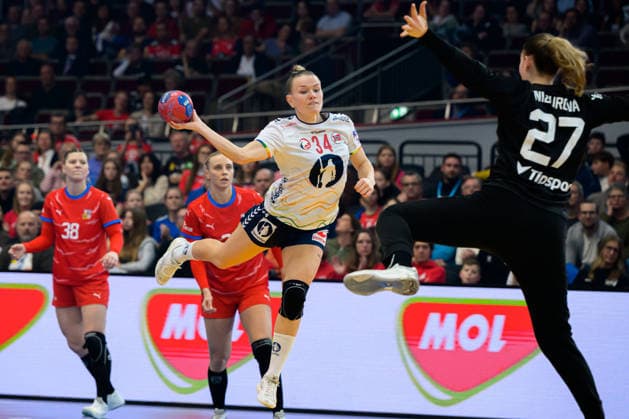 Handball, Womens World Championship, Czech Republic Norway Anniken Wollik Norway , Patricie Wizurova Czech Republic Dortmund Hotel North Rhine-Westphalia Germany