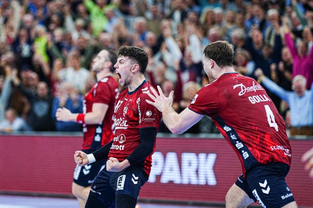 Marco Grgic SG Flensburg Handewitt, 17 and Johannes Golla SG Flensburg Handewitt, 04 cheers after victory end of match GER, SG Flensburg Handewitt vs Fuechse Berlin, Handball, Bundesliga, Matchday 16, Season 2026 2026, 11 12 2025 GER, SG Flensburg Handewitt vs Fuechse Berlin, Handball, Bundesliga, Matchday 16, Season 2026 2026, 11 12 2025 Flensburg Copyright: xEibner-Pressefoto MarcelxvonxFehrnx EP_MFN