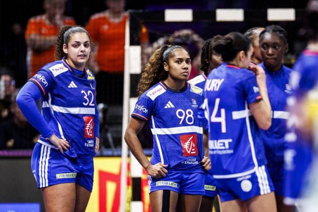 ROTTERDAM - French players react to Germany s loss in the World Handball Championship semi-final against France. ANP IRIS VAN DEN BROEK xVIxANPxSportx xxANPxIVx 544683684 originalFilename: 544683684.jpg