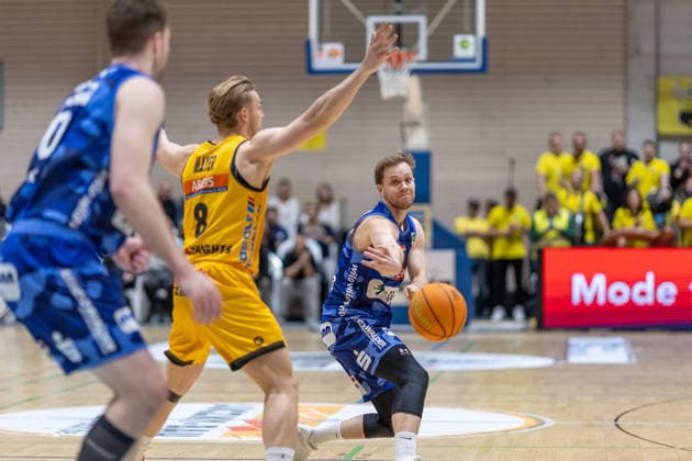 Basketball, 2. BL, ProA, Bozic Estriche Knights Kirchheim - Phoenix Hagen