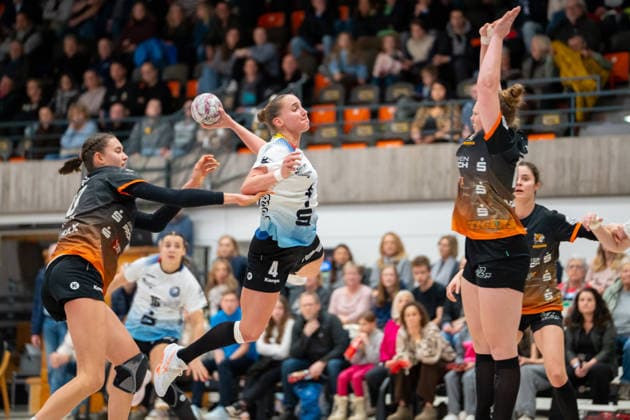 Handball, Women, 2nd BL, VfL Waiblingen - Bergischer HC