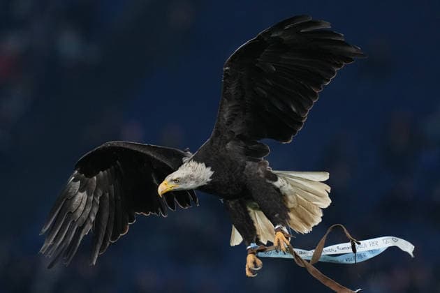 the return of the eagle s flight before the match during the Serie A EniLive soccer match between Lazio and Cremonese at the Rome s Olympic stadium, Italy - Saturday December 20, 2025 - Soccer ( Photo by Alfredo Falcone LaPresse )  Copyright: xAlfredoxFalcone LaPressex