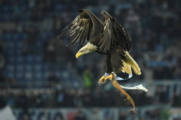 Soccer, serie A Enilive match, SS Lazio v Cremonese The mascot of Lazio the eagle Flaminia during the serie A Enilive match between SS Lazio v Cremonese at olimpico stadium in Rome ,December 20th, 2025 Imago-Images Emmefoto Copyright: xImago-Images Emmefotox