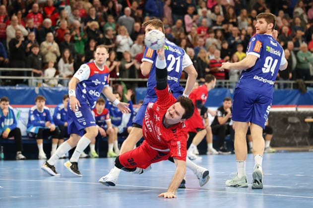Handball, HBL2, SG BBM Bietigheim - HBW Balingen-Weilstetten