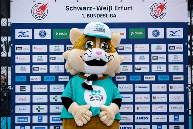 1 Volleyball Bundesliga Frauen Schwarz Weiss Erfurt vs USC Münster Erfurt 27 12 2025 Emil Thüringen Park mascot 1 Volleyball Bundesliga Frauen Schwarz Weiss Erfurt vs USC Münster Riethsporthalle Erfurt 27 12 2025 Copyright: xBEAUTIFULxSPORTS Duehringx