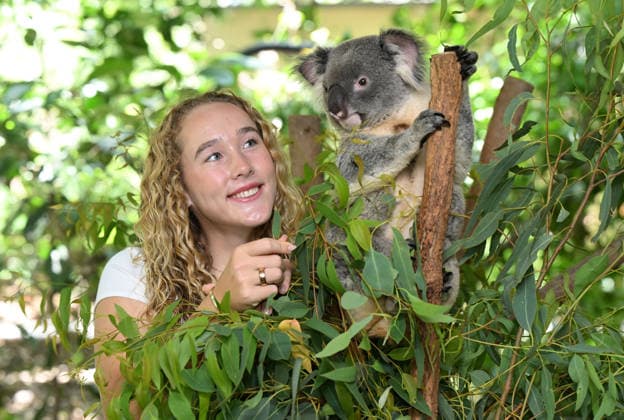 TENNIS ANDREEVA KOALA SANCTUARY, World No.9 tennis player Mirra Andreeva is seen with a Koala during a visit to Lone Pine Koala Sanctuary ahead of the Brisbane International in Brisbane, Wednesday, December 31, 2025. ( NO ARCHIVING Brisbane Queensland Australia  Copyright: xDarrenxEnglandx 20251231136208229166