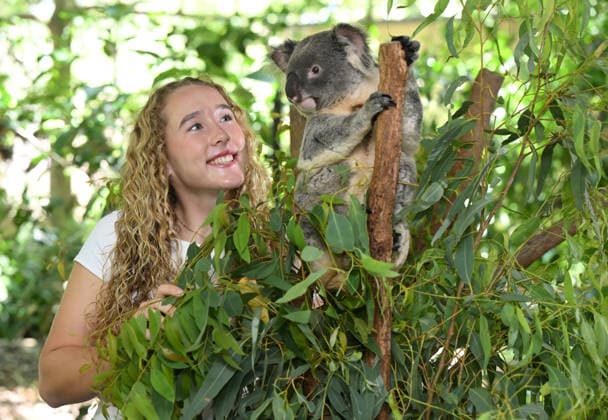 TENNIS ANDREEVA KOALA SANCTUARY, World No.9 tennis player Mirra Andreeva is seen with a Koala during a visit to Lone Pine Koala Sanctuary ahead of the Brisbane International in Brisbane, Wednesday, December 31, 2025. ( NO ARCHIVING Brisbane Queensland Australia  Copyright: xDarrenxEnglandx 20251231165343250112