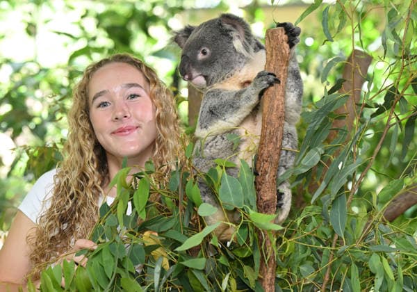 TENNIS ANDREEVA KOALA SANCTUARY, World No.9 tennis player Mirra Andreeva is seen with a Koala during a visit to Lone Pine Koala Sanctuary ahead of the Brisbane International in Brisbane, Wednesday, December 31, 2025. ( NO ARCHIVING Brisbane Queensland Australia  Copyright: xDarrenxEnglandx 20251231198444645383