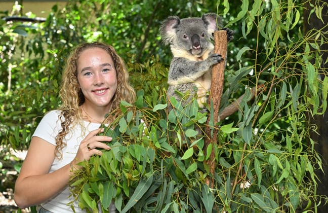 TENNIS ANDREEVA KOALA SANCTUARY, World No.9 tennis player Mirra Andreeva is seen with a Koala during a visit to Lone Pine Koala Sanctuary ahead of the Brisbane International in Brisbane, Wednesday, December 31, 2025. ( NO ARCHIVING Brisbane Queensland Australia  Copyright: xDarrenxEnglandx 20251231185133974547