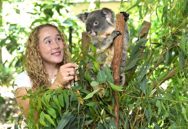 TENNIS ANDREEVA KOALA SANCTUARY, World No.9 tennis player Mirra Andreeva is seen with a Koala during a visit to Lone Pine Koala Sanctuary ahead of the Brisbane International in Brisbane, Wednesday, December 31, 2025. ( NO ARCHIVING Brisbane Queensland Australia  Copyright: xDarrenxEnglandx 20251231194594506563