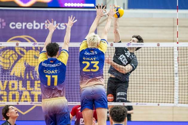 Volleyball, 1st BL, Cerebricks Volley Goats Mitteldeutschland - SVG Lüneburg
