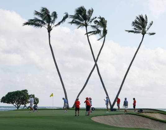 January 14, 2026, Honolulu, Hawaii, USA: BILLY HORSCHELÃ¢â‚¬â ¢S team putts from the 16th Green during the Pro-Am round at the 2026 Sony Open in Honolulu, Hawaii on January 14, 2026. Honolulu USA - ZUMAm310 20260114_zsp_m310_037 Copyright: xElliotxMilesx