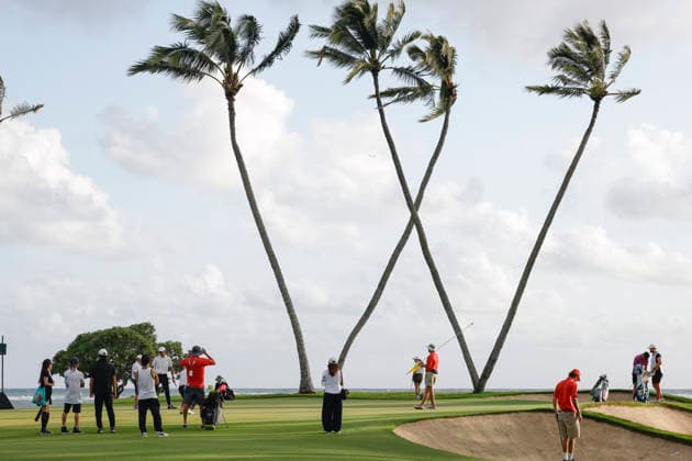 January 14, 2026, Honolulu, Hawaii, USA: ADRIEN SADDIERÃ¢â‚¬â ¢s team putts from the 16th Green during the Pro-Am round at the 2026 Sony Open in Honolulu, Hawaii on January 14, 2026. Honolulu USA - ZUMAm310 20260114_zsp_m310_040 Copyright: xElliotxMilesx