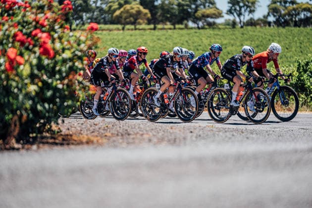 2026 Women s Tour Down Under Stage 1 Picture by Zac Williams SWpix.com - 17 01 2026 - Cycling - 2026 Women s Tour Down Under Stage 1 - Willunga to Willunga - The peloton. Copyright: x xSWpix.comx(t axPhotographyxHubxLtd)xZacxWilliams SWpix.comx SWP-2645
