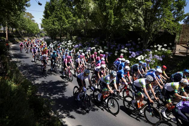 CYCLING TOUR DOWN UNDER, The Peloton during stage 1, Tanunda to Tanunda, 120.6km of the 2026 Men s Tour Down Under professional road bicycle race in Adelaide, Wednesday, January 21, 2026. ( NO ARCHIVING, EDITORIAL USE ONLY ADELAIDE SOUTH AUSTRALIA AUSTRALIA  Copyright: xMATTxTURNERx 20260121152673704618