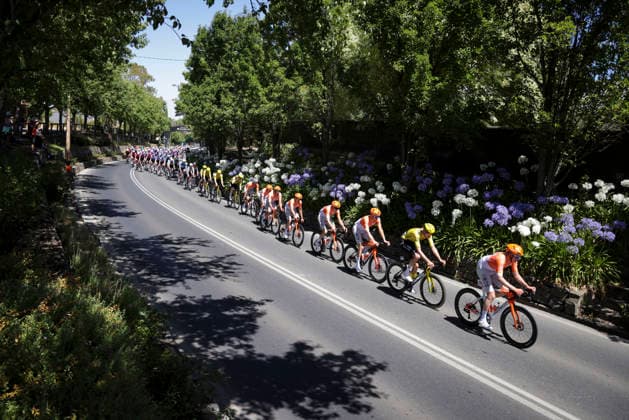 CYCLING TOUR DOWN UNDER, The Peloton during stage 1, Tanunda to Tanunda, 120.6km of the 2026 Men s Tour Down Under professional road bicycle race in Adelaide, Wednesday, January 21, 2026. ( NO ARCHIVING, EDITORIAL USE ONLY ADELAIDE SOUTH AUSTRALIA AUSTRALIA  Copyright: xMATTxTURNERx 20260121158865163500