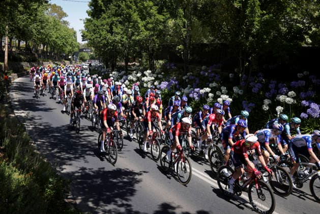 CYCLING TOUR DOWN UNDER, The Peloton during stage 1, Tanunda to Tanunda, 120.6km of the 2026 Men s Tour Down Under professional road bicycle race in Adelaide, Wednesday, January 21, 2026. ( NO ARCHIVING, EDITORIAL USE ONLY ADELAIDE SOUTH AUSTRALIA AUSTRALIA  Copyright: xMATTxTURNERx 20260121194152179729