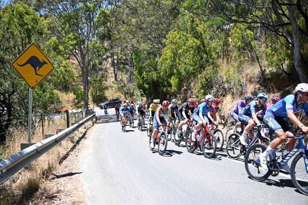 22-01-2026 Tour Down Under; Tappa 02 Norwood - Uraidla; 2026, Groupama - Fdj United; Fontaine, Titouan; 