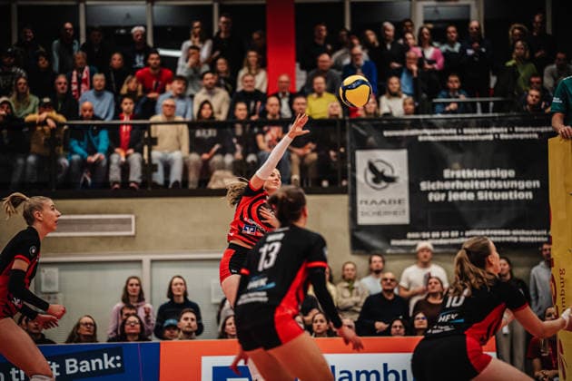 Volleyball, Women, VBL, ETV Hamburg - USC Münster