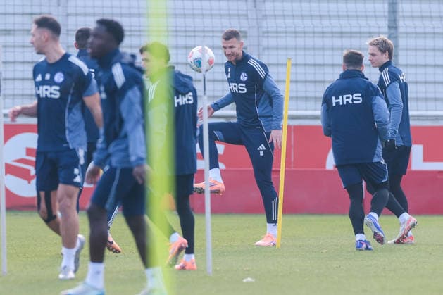 23 01 2026, Football, Season 2025 2026, Training FC Schalke 04, Edin Dzeko FC Schalke 04 , Gelsenkirchen Training ground of S04 Hamburg Germany xRHR PHOTO DEx Copyright: DennisxEwert RHR-FOTOx RHR-FOTO DE