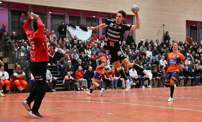 Handball, Test match, HC Erlangen - Talent Pilsen