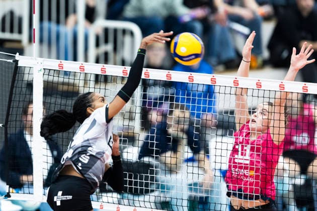 1 Volleyball Bundesliga Women Schwarz Weiss Erfurt vs VC Wiesbaden Erfurt 23 01 2026 Alianza Darley 14 Schwarz Weiss Erfurt vs Sanne Konijnenberg 11 VC Wiesbaden 1 Volleyball Bundesliga Women Schwarz Weiss Erfurt vs VC Wiesbaden Riethsporthalle Erfurt 23 01 2026 Copyright: xBEAUTIFULxSPORTS Duehringx