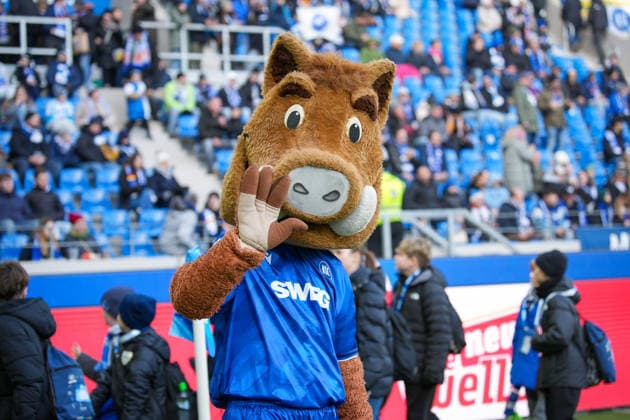 Germany, Football, 2 Bundesliga, Season 2025 2026, Karlsruher SC vs Herta BSC BBBank Wildpark Karlsruhe Mascot, Karlsruhe, Karlsruhe BBBank Wildpark Baden Württemberg Germany Copyright: xFINLEYxMÖRCHx
