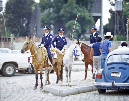 03.06.86 Belgien - Mexiko Mexiko, Mexiko-Stadt, 03.06.1986, Fussball, FIFA WM 1986 in Mexiko, Belgien - Mexiko (1:2): Polizei auf Pferden. *** 03 06 86 Belgium Mexico Mexico, Mexico City, 03 06 1986, Soccer, FIFA World Cup 1986 in Mexico, Belgium Mexico 1 2 Police on Horses