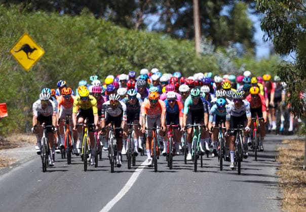 CYCLING TOUR DOWN UNDER, The Peloton during stage 5, Stirling circuit, 169.8km of the 2026 Men s Tour Down Under professional road bicycle race in Adelaide, Sunday, January 25, 2026. ( NO ARCHIVING, EDITORIAL USE ONLY ADELAIDE SOUTH AUSTRALIA AUSTRALIA  Copyright: xMATTxTURNERx 20260125134463704078