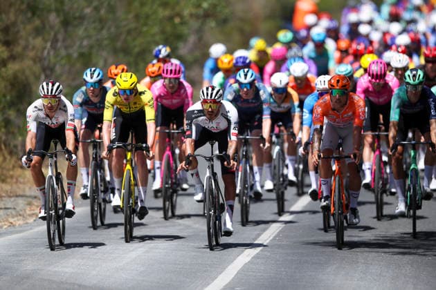CYCLING TOUR DOWN UNDER, The Peloton during stage 5, Stirling circuit, 169.8km of the 2026 Men s Tour Down Under professional road bicycle race in Adelaide, Sunday, January 25, 2026. ( NO ARCHIVING, EDITORIAL USE ONLY ADELAIDE SOUTH AUSTRALIA AUSTRALIA  Copyright: xMATTxTURNERx 20260125193077795523