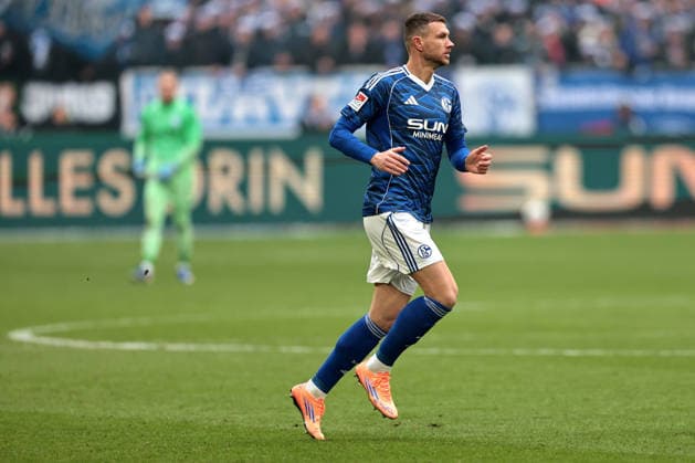 Edin Dzeko FC Schalke 04 is substituted during the match of the 2 Bundesliga season 2025 26 FC Schalke 04 1 FC Kaiserslautern Copyright Thomas Pakusch