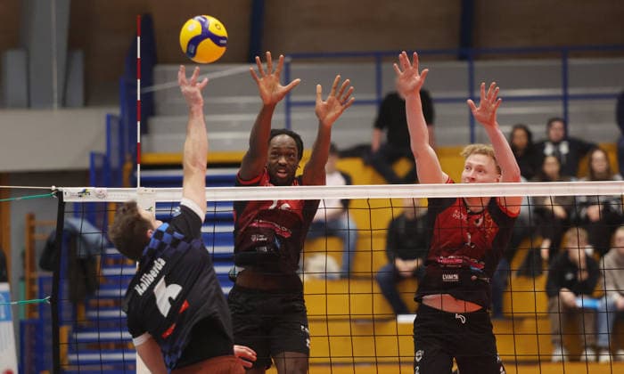 Volleyball, 1st BL, MTV Ludwigsburg - TSV Herrsching