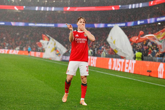 seen during Champions League phase game between SL Benfica and Real Madrid CF (Maciej Rogowski Ball Raw Images) Lisbon Estadio da Luz Portugal Copyright: xMaciejxRogowskix maciejrogowski_benfica_realmadrid_2526-79