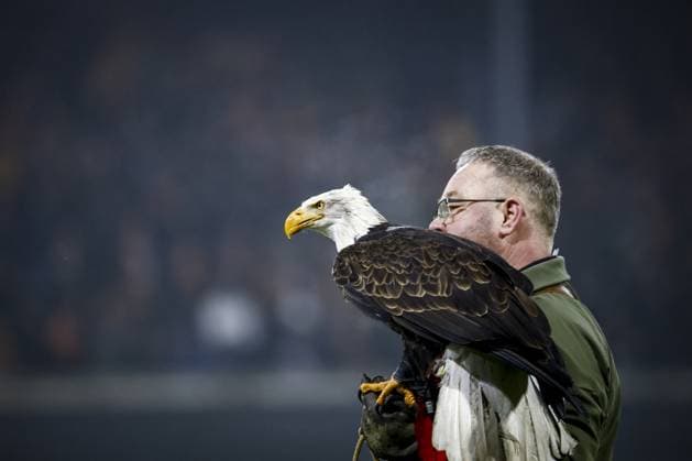 DEVENTER - The Go Ahead Eagles mascot, a sea eagle named Harley, for the UEFA Europa League match between Go Ahead Eagles and Sporting Braga at De Adelaarshorst on January 29, 2026, in Deventer, Netherlands. VINCENT JANNINK ANP UEFA Europa League 2025-2026 xVIxANPxSportx xxANPxIVx 549049691 originalFilename: 549049691.jpg