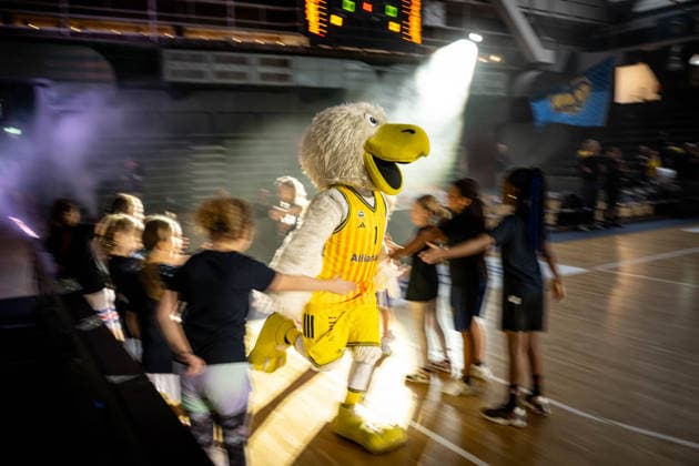 Basketball Berlin 31 01 2026 Season 2025 2026 DBBL 1 Bundesliga Alba Berlin Saarlouis Royals Albatros