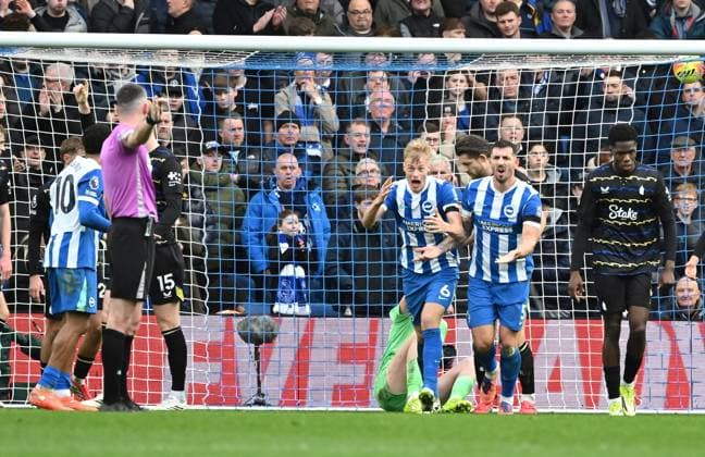 Jan Paul van Hecke and Lewis Dunk of Brighton not happy after a decision doesn t go there way during the Premier League match between Brighton and Hove Albion and Everton at the American Express Stadium, Brighton UK - Saturday 31st January 2026 Brighton v Everton Premier League Football, Amex Stadium, Sussex, UK - 31 Jan 2026Brighton Amex Stadium Sussex United Kingdom Editorial use only. No merchandising. For Football images FA and Premier League restrictions apply inc. no internet mobile usage without FAPL license - for details contact Football Dataco  Copyright: xLizxFinlayson TPI Shutterstockx 16497437bq