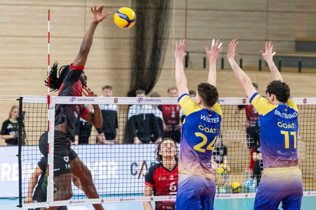 1 Volleyball Bundesliga Season 2025 2026 Cerebricks Volley Goats Mitteldeutschland vs Barock Volleys MTV Ludwigsburg Halle, Germany January 31, 2026 Pictured from left Nyherowo Omene Ludwigsburg , Ben Simon Bonin Ludwigsburg , Clay Wieter Bitterfeld and Nick Breitenbach Bitterfeld Halle Saale swh Arena Sachsen Anhalt Germany