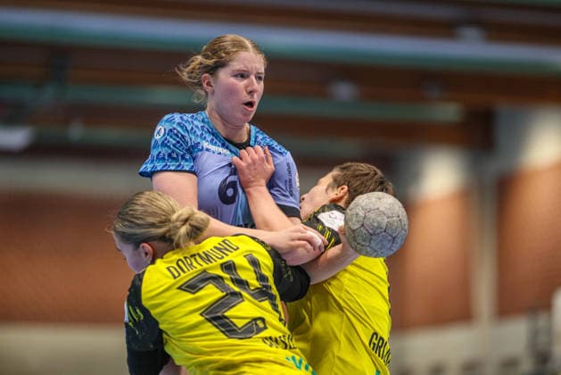 GER, Dortmund, Borussia Dortmund vs HSG Bensheim Auerbach Flames, Alsco Handball Bundesliga Frauen, Handball, DHB, Spielzeit 2025 2026, Sporthalle Wellinghofen, 15 Spieltag im Bild v l kein Durchkommen, Guro Berland Husebo Borussia Dortmund Handball 24 , Nina Engel HSG Bensheim Auerbach Flames Women 6 , Alina Grijseels Borussia Dortmund Handball 4 , Zweikampf DFB DFL REGULATIONS PROHIBIT ANY USE OF PHOTOGRAPHS AS IMAGE SEQUENCES AND OR QUASI VIDEO, 31 01 2026 Copyright: HMBxMedia HendrikxHamelau