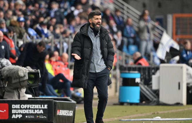 Coach Miron Muslic FC Schalke 04 31 01 2026, Football 2 Bundesliga, Season 2025 2026, 20 Matchday, VfL Bochum FC Schalke 04 2 0 DFL regulations prohibit any use of photographs as image sequences and or quasi video Bochum Vonovia Ruhrstadion Nordrhein Westfalen Germany Team2