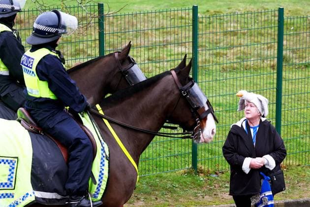 A Brighton fan speaks to Police on horseback. Brighton and Hove Albion v Crystal Palace, Premier League, Football, American Express Community Stadium, Brighton, UK - 08 Feb 2026Brighton American Express Community Stadi United Kingdom EDITORIAL USE ONLY No use with unauthorised audio, video, data, fixture lists, club league logos or live services. Online in-match use limited to 120 images, no video emulation. No use in betting, games or single club league player publications. Copyright: xJamesxMarsh Shutterstockx 16524415o