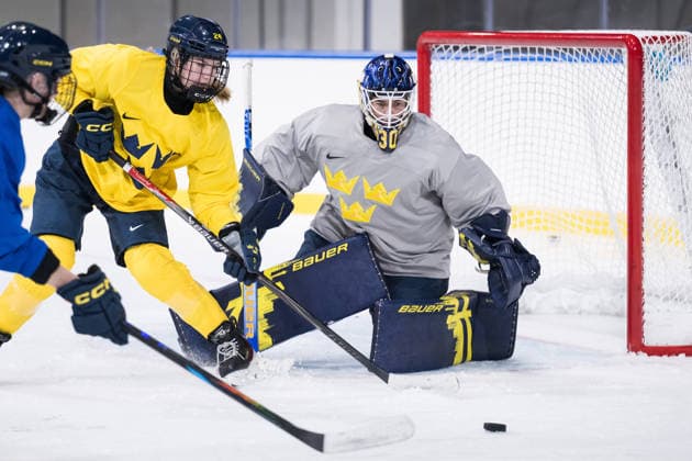 Milano Cortina 2026, ice hockey, women, national team Sweden, training