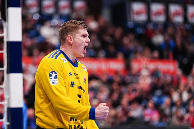 Handball, HBL, HSV Hamburg - SC DHfK Leipzig
