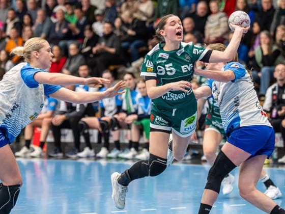 Handball, HBF, Frisch Auf Göppingen - Union Neckarsulm