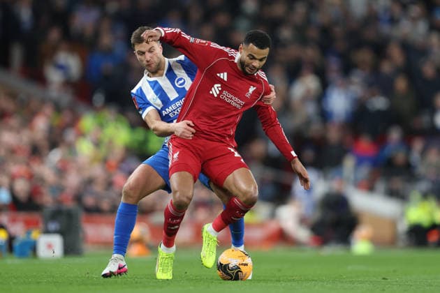 Liverpool gegen Brighton 14. Februar 2026, Liverpool Emirates FA Cup, Vierte Runde Liverpool gegen Brighton Hove Albion Joel Veltman von Brighton Hove Albion und Cody Gakpo von Liverpool Foto Charlotte Wilson Offside Liverpool UK  Copyright: xCharlottexWilsonx xOffsidexOffside