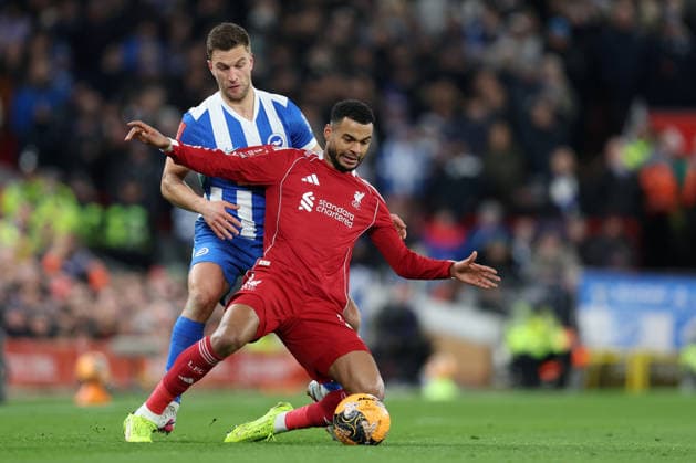 Liverpool gegen Brighton 14. Februar 2026, Liverpool Emirates FA Cup, Vierte Runde Liverpool gegen Brighton Hove Albion Joel Veltman von Brighton Hove Albion und Cody Gakpo von Liverpool Foto Charlotte Wilson Offside Liverpool UK  Copyright: xCharlottexWilsonx xOffsidexOffside